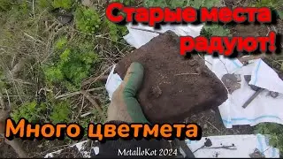 ГОД СПУСТЯ ПОБЫВАЛИ НА СТАРОМ МЕСТЕ! До сих пор не выбитое!) METALLOKOT