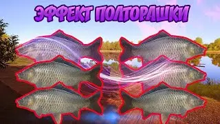 РУССКАЯ РЫБАЛКА 4 (РР4) -  ЭФФЕКТ ПОЛТОРАШКИ
