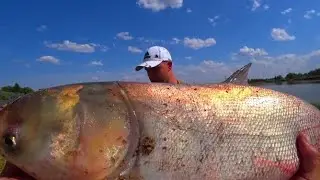 МОНСТРЫ ТОПЯТ ПОПЛАВОК И ЛОМАЮТ ПОДСАК !!! РЫБАЛКА НА ДОНКИ С ПОПЛАВКОМ!