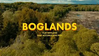 Boglands in 4k -  How to make your Mavic 3 series footage look Cinematic!
