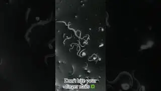 Don’t bite your finger nails 