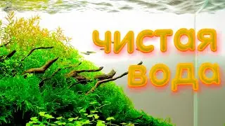 Уф стерилизатор для аквариума. Зеленая вода в аквариуме, как избавиться.