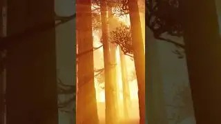 Our Future: Beautiful Relaxing Music by Peder B. Helland
