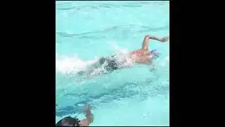 Freestyle Swimming #swimming #swimmingpool #swimmingtips  #waterpark #summervibes