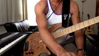 'Some Skunk Funk' bass play along.