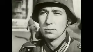 Project NT - Война