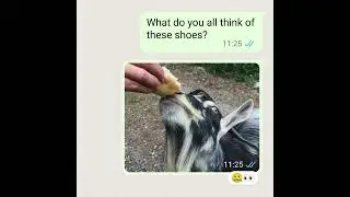 Undo option is now available in WhatsApp Delete for me