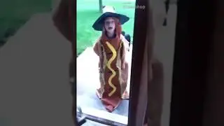 hi I'm the wicked weiner