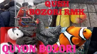 QUSH BOZORI RMK // TEKARATIV TOVUQ //QUYON //AKVARUM BALIQLAR //BOZORI.02.01.2022.