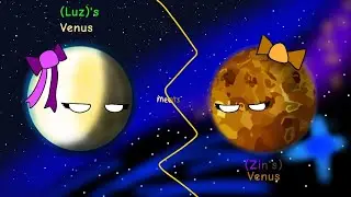 (Luz’s) Venus meets (Zins’s) Venus