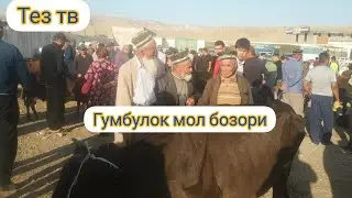 дехконобод мол бозори нархлари гумбулок мол бозори нархлари