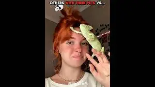 Others with their Pets vs Last Man💀 Pt.2 