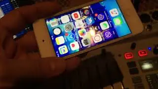 #behringer
