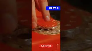 Facts you Must know ?