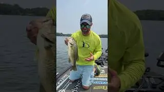 Bass in the Weeds | Summertime Weedline Bass Fishing!!