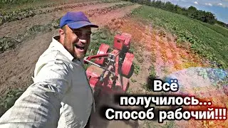 Химии не нужно и сорняка больше не будет // Спас поле от бурьяна и получил отличный урожай.