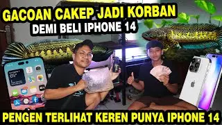 DEMI GENSI !! CURHAT BOCIL JUAL CHANNA DEMI IPHONE 14?? SERIUS