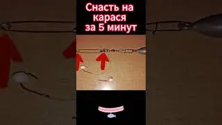Снасть на карася за 5 минут