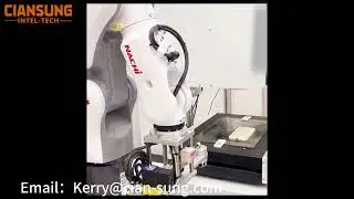 MZ04 Cell phone case inspection loading and unloading robot.