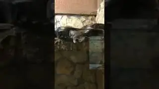 Да блять, я не могу нахуй
