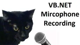Visual Basic How To: Recording from a Microphone