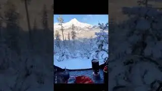 Nature America beauty 🌳 | Amazing Nature | New Video must watch 😘