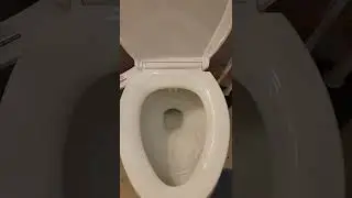 Super Flush 3000 (Kohler K-3493-0)