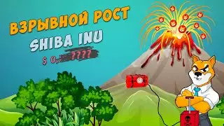 Shiba inu coin - news today!