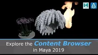Explore the Content Browser in Maya 2019