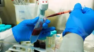 HIV Pathogenesis Programme- School of Laboratory Medicine and Medical Sciences