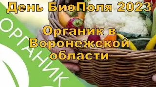 День БиоПоля 2023 - Развитие органик в Воронежской области