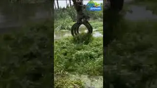 Очистка водоема с помощью техники