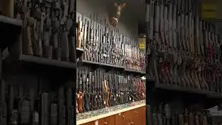 I went shopping for a gun ..A hunting gun! 😁