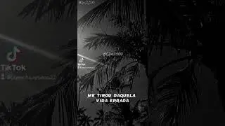 RAFFÉ mal sei falar de amor #let  #lyrics #flowers #music #public #musica #famoussong #fly #trap