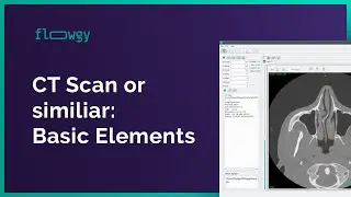 CT Scan or similars – Basic Elements | Flowgy Academy
