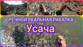 Речной реальная рыбалка на усача. Рыбалка в Чечне.