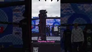бой Дамир Аминов