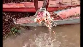 Юмор, приколы