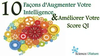 ✔ Comment Devenir Plus Intelligent & Augmenter Ses Capacités Intellectuelles?