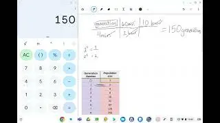 Exponential Growth Assignment Video