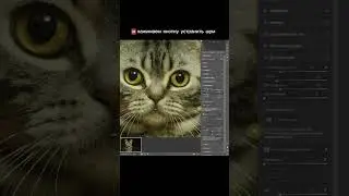 Как удалить сильный шум на фотографии