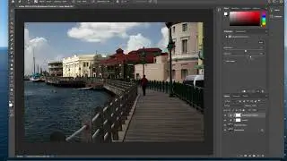Standard Practice Workflow in PS 2020