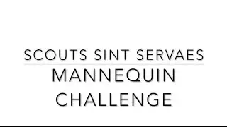 Scouts Sint-Servaes  'Mannequin Challenge on Ice'
