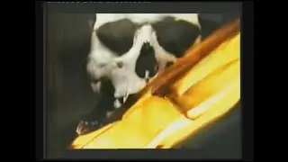 National Safety Council - Smoke Alarms (2002, Ireland)