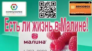 Есть ли жизнь в МАЛИНЕ? Вот что сказал 5-звездный эксперт!