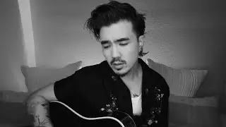 Wouldn't It Be Nice - The Beach Boys (Joseph Vincent Cover)