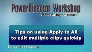 Tips on using Apply to All to edit multiple clips quickly