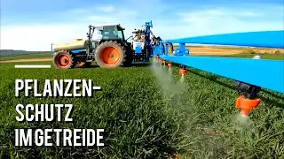 FarmVlog#167 - Wachstumsregler und Hühnerjagt