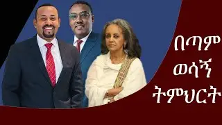 ስለ ከፍተኛ የመንግስት ባለስልጣናት ስራ መደብ |ቻይንኛን በአማርኛ | Chinese Language for Beginners