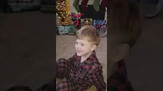 Christmas Reveal 2017